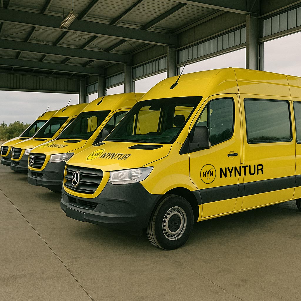 Profesyonel Taşımacılık